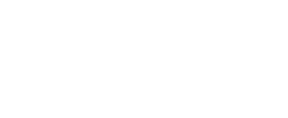ZAP logo grey